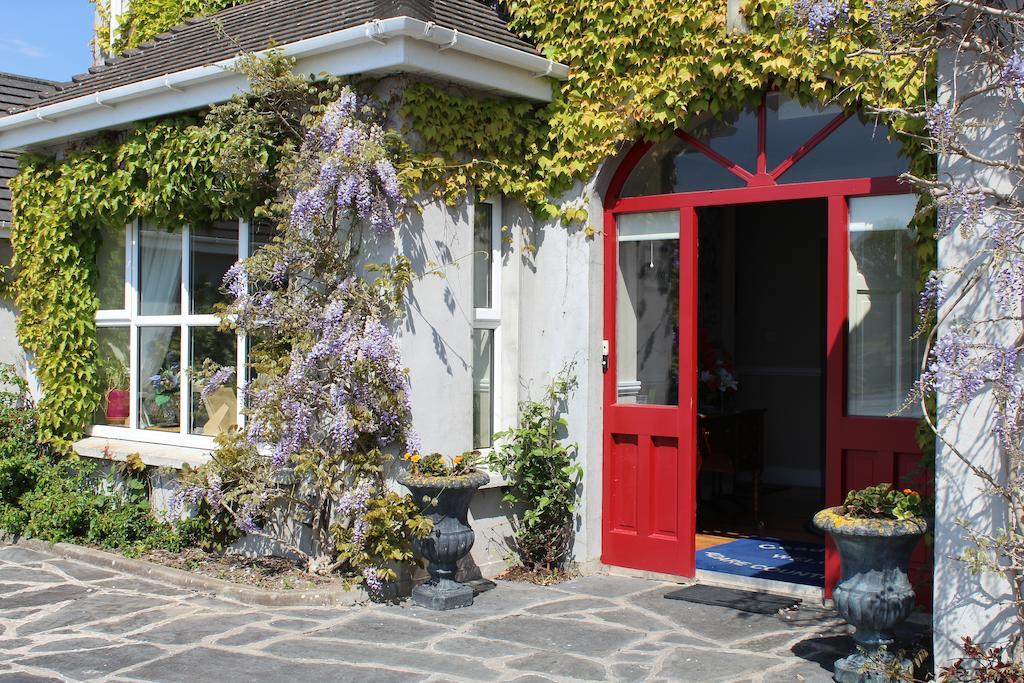 Adare Country House מראה חיצוני תמונה